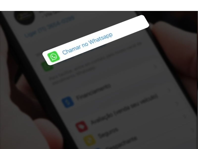 Call on Whatsapp